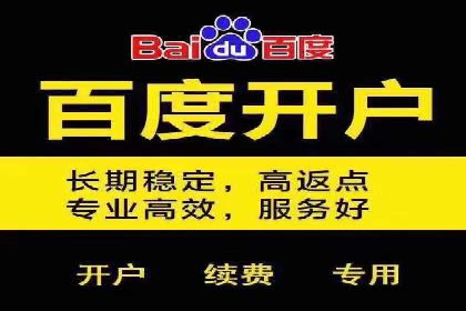 百度竞价广告运营的技巧与误区：成功案例解析